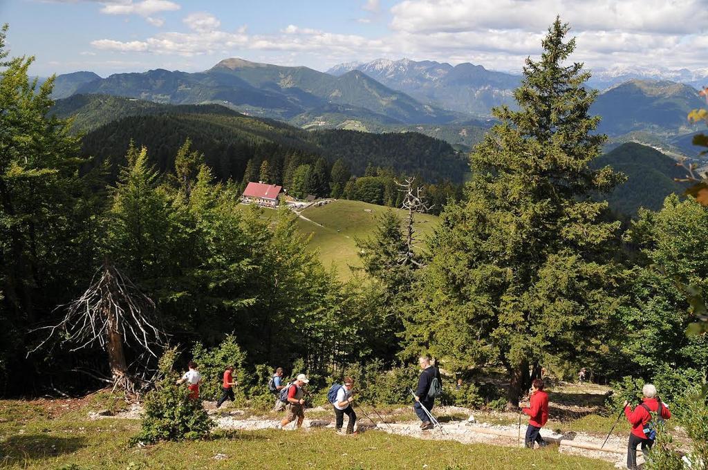 Apartmaji Srnca Cerkno Exteriér fotografie