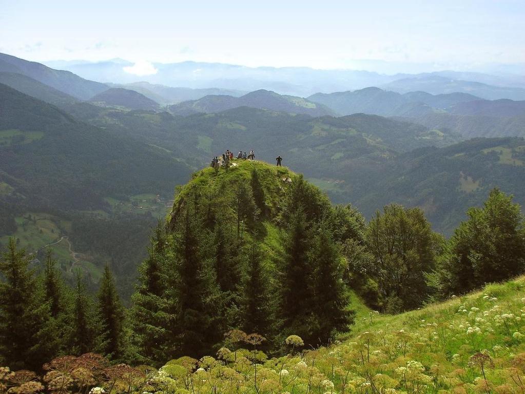 Apartmaji Srnca Cerkno Exteriér fotografie