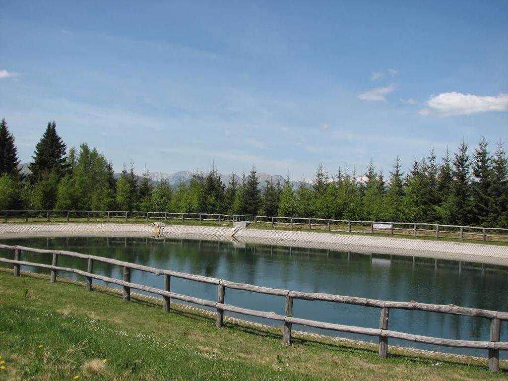 Apartmaji Srnca Cerkno Exteriér fotografie